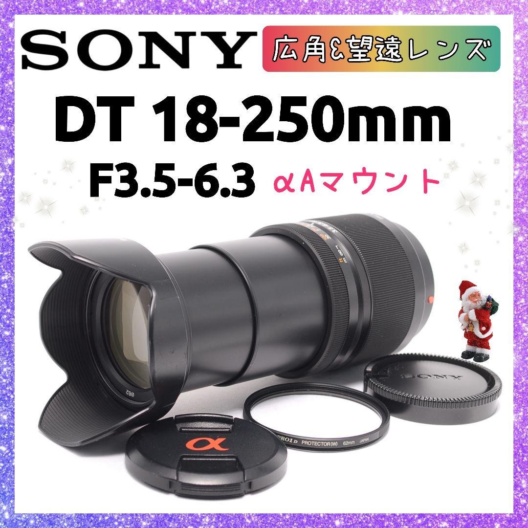 ❤即購入1000円OFF❤ SONY DT 18-250mm 広角＆望遠レンズ