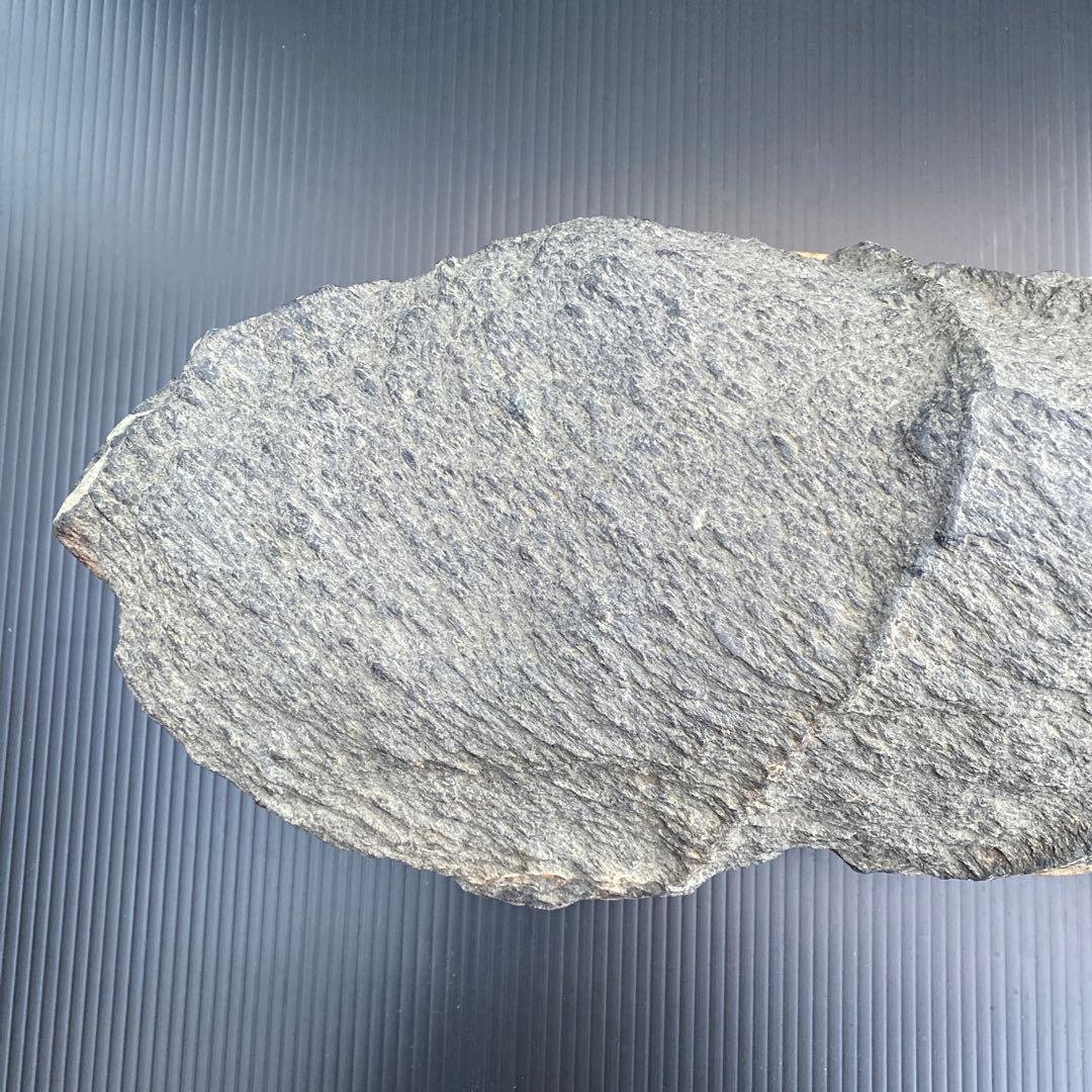 【日本三大銘石佐治石】 古代石 採石禁止石 鯨形 珍品