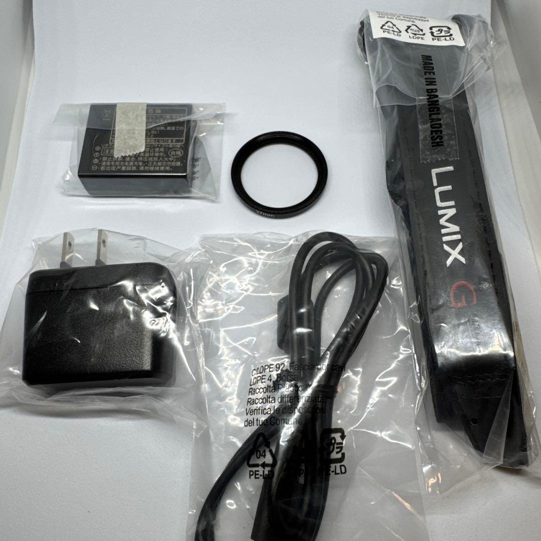 ☆ほぼ新品☆LUMIX G100D ミラーレス一眼カメラ　ルミックス　付属品あり