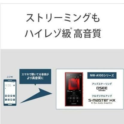 【美品】SONY ウォークマン ハイレゾ対応 MP3プレーヤー NW-A106