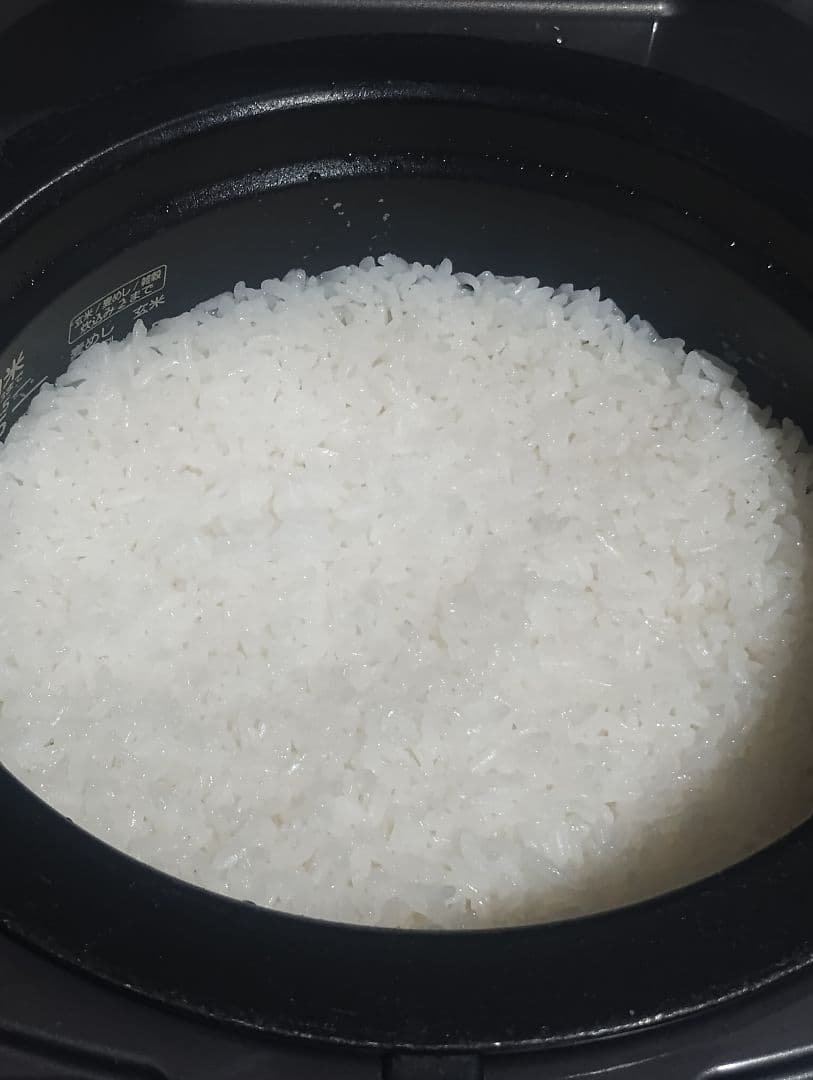 TIGER 圧力IH炊飯器 ご泡火炊き JPL-H100 炊飯器 炊飯ジャー